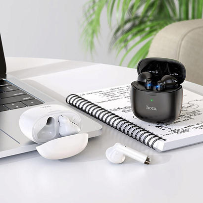 Наушники с микрофоном Bluetooth Hoco ES56 TWS черные